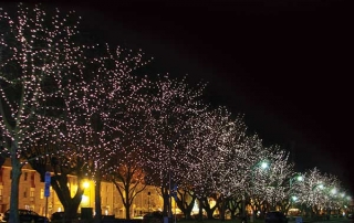 Salamanca tokistar lightstrings